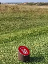 G-MB004_ECO ROUND 100_Logo (7).webp