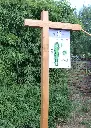G-PD025 - Fay (4).webp