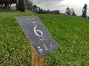 G-PD030 - Temalarge (1).webp