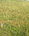 G-BIO002_Balise zone naturelle (4).webp
