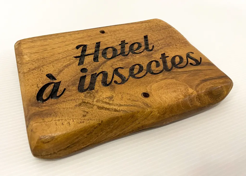 G-BIO004_Insect (3).webp