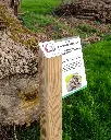 G-BIO005_Almira (1).webp