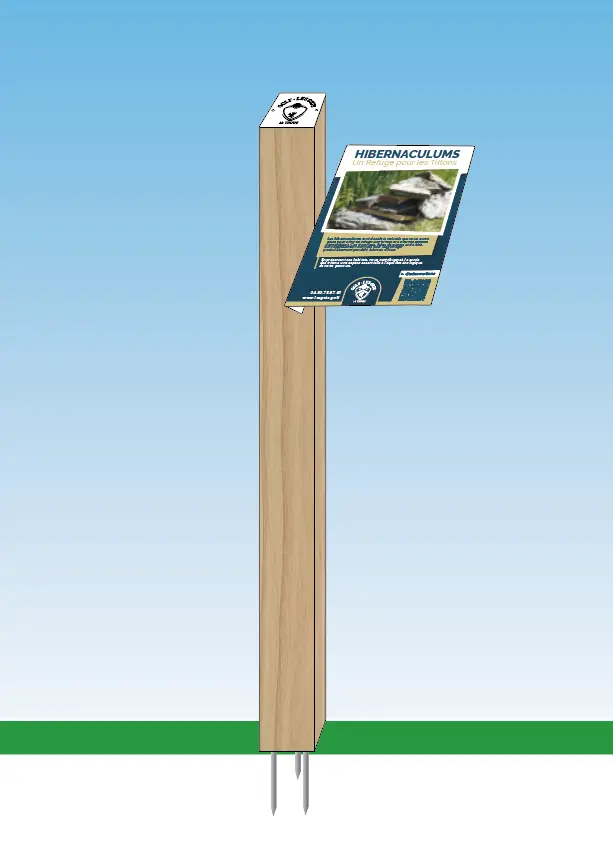 G-BIO005_Almira (3).webp