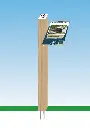 G-BIO005_Almira (3).webp