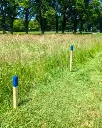 G-PO003_Obstacle Natura  (4).webp