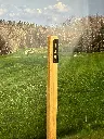 G-RDM002_Woodstick 58 (1).webp