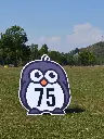 G-CIB019_Funpack Range (4).webp