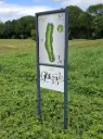 IOTA